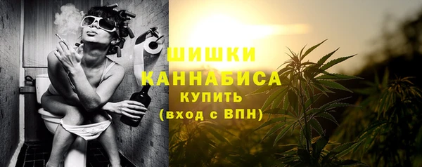 мет Инта