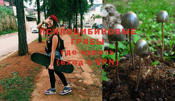 spice Магас