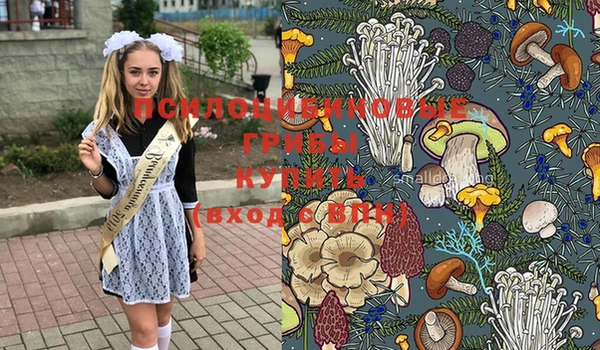 spice Магас