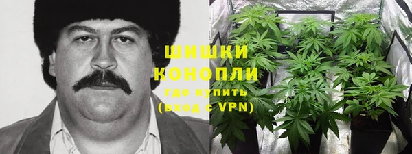 spice Магас