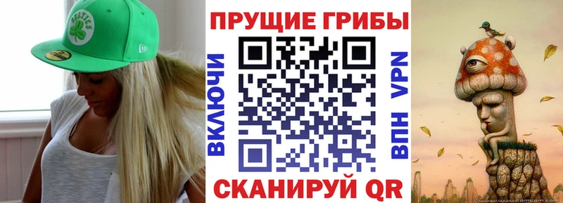 сайты даркнета состав что такое Реутов Галлюциногенные грибы ЛСД