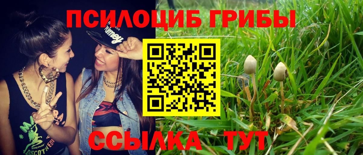 Псилоцибиновые грибы Psilocybine cubensis Реутов